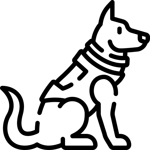 S-PASS SÉCURITÉ
